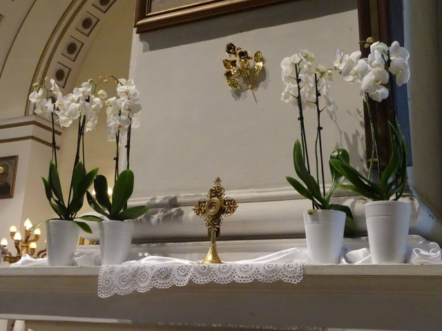 DSC02580